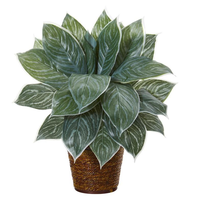 18" Silver Aglonema Artificial Plant in Basket (Real Touch)