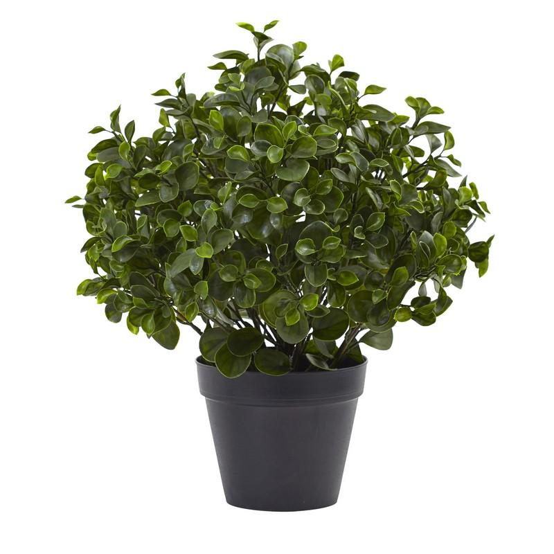 23" Peperomia Plant UV Resistant (Indoor/Outdoor)