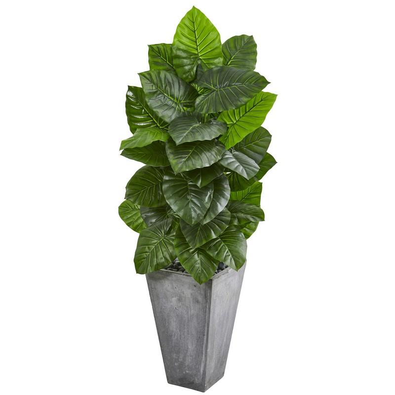 63" Taro Artificial Plant in Tall Cement Planter