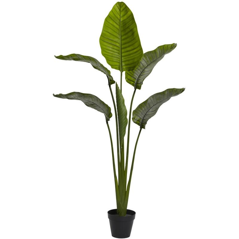 64" Travellers Palm Tree UV Resistant (Indoor/Outdoor)