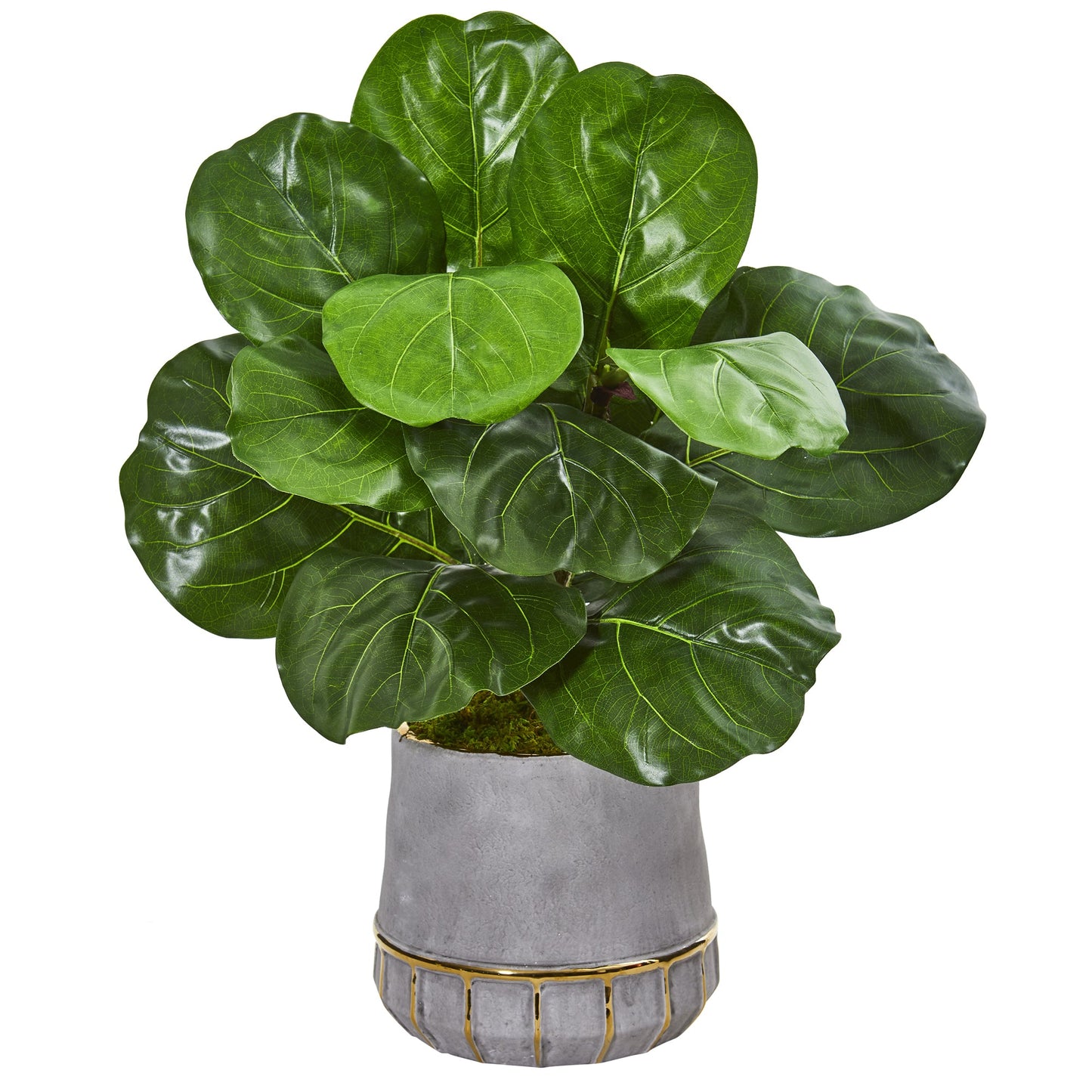23" Fiddle Leaf Artificial Plant in Stoneware Planter