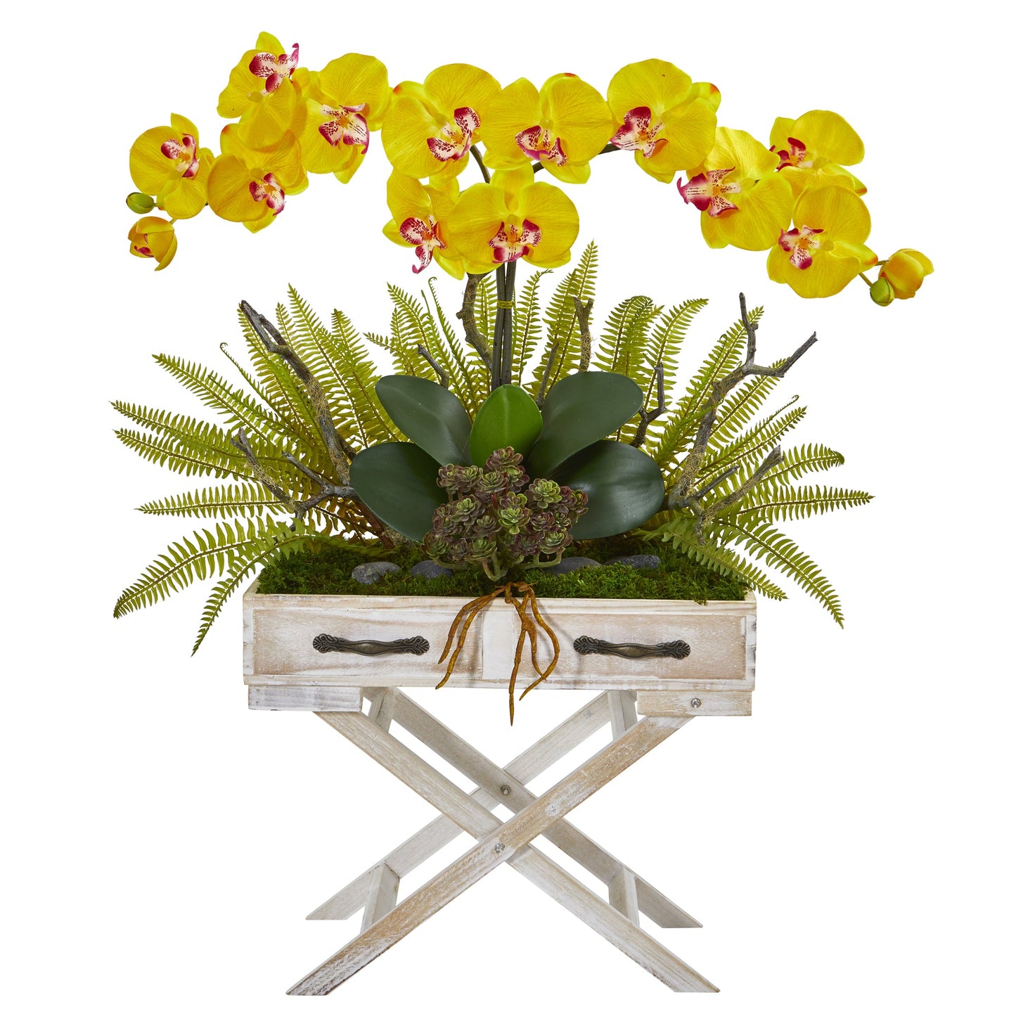 26" Phalaenopsis Orchid, Fern and Succulent Artificial Arrangement