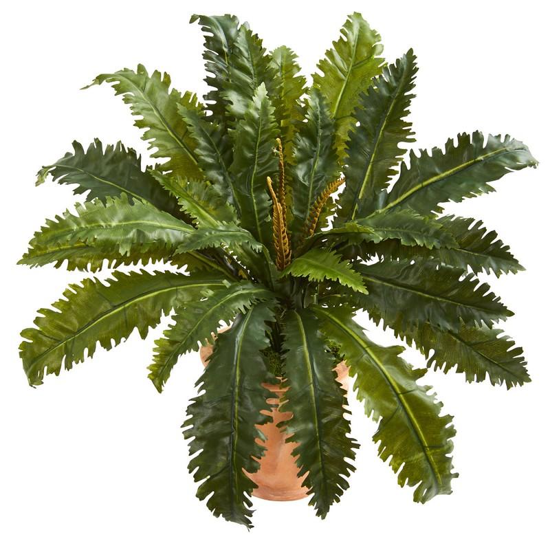 Marginatum Artificial Plant in Terra Cotta Planter