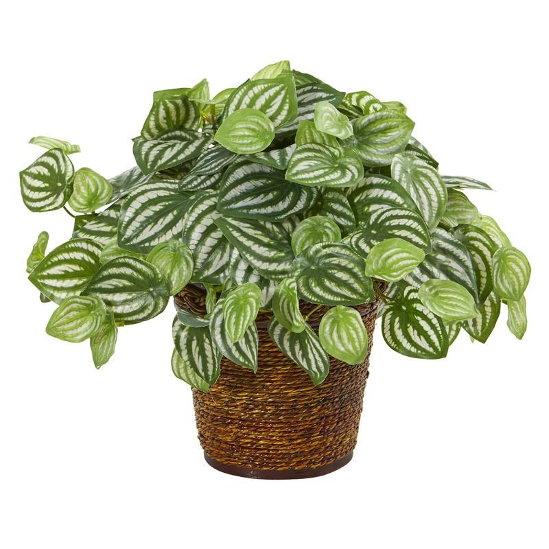 13" Watermelon Peperomia Artificial Plant in Basket (Real Touch)