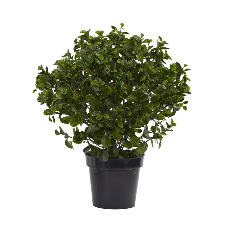 28" Peperomia Plant UV Resistant (Indoor/Outdoor)