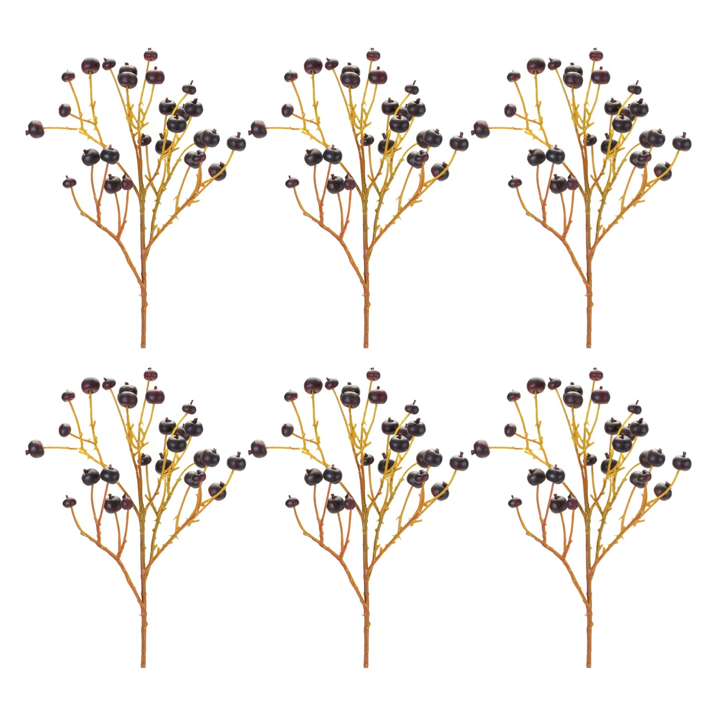 Blue Berry Spray (Set of 6)