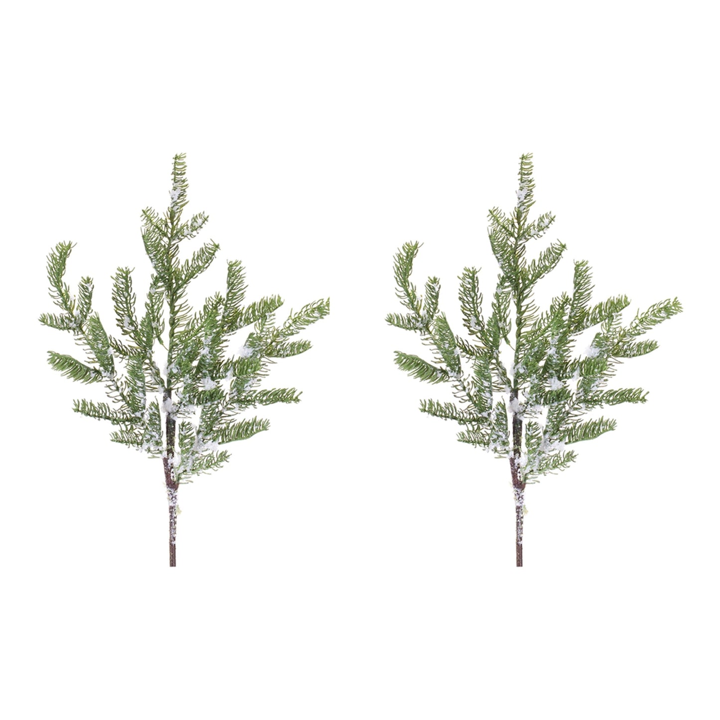 Pine Spray (Set of 2)