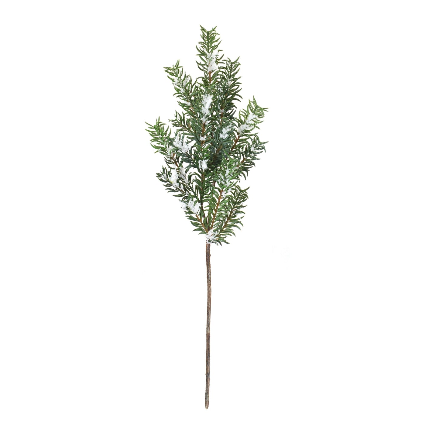 Snow Pine Spray (Set of 6)