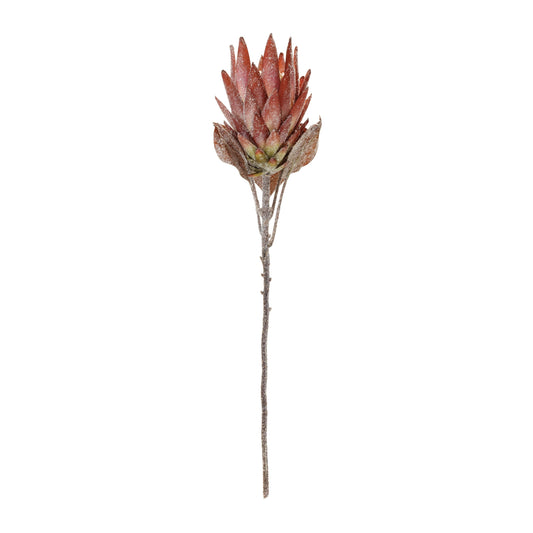 Orange Protea Flower Stem (Set of 2)