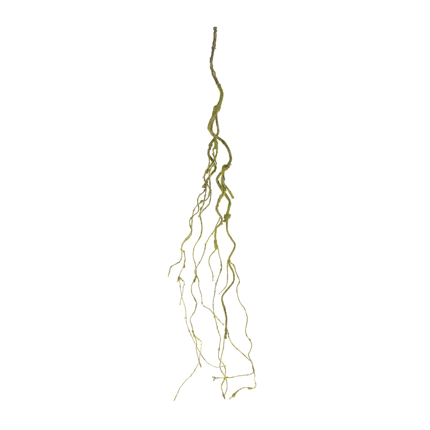 Mossy Twig Vine (Set of 6)