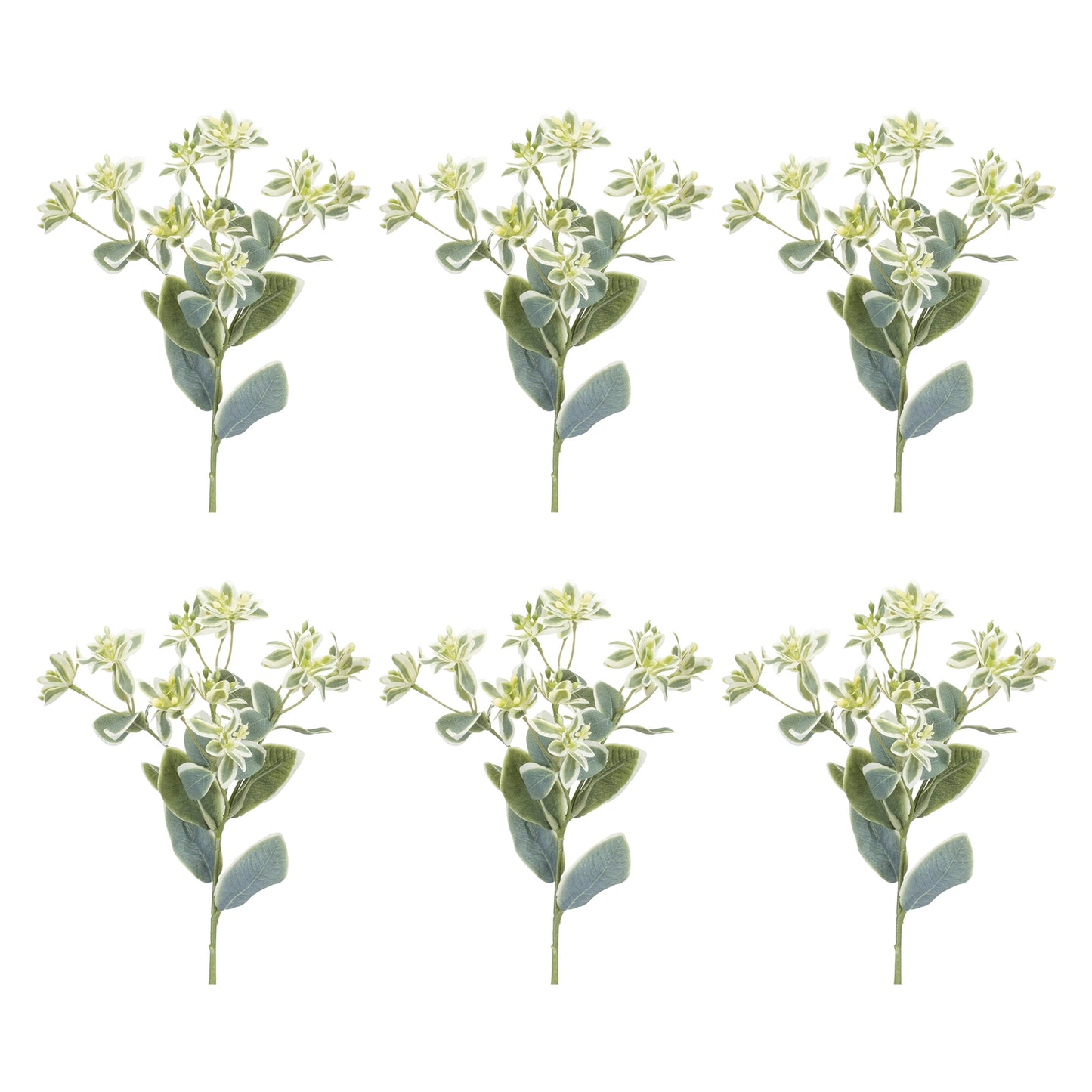Euphorbia Floral Stem (Set of 6)