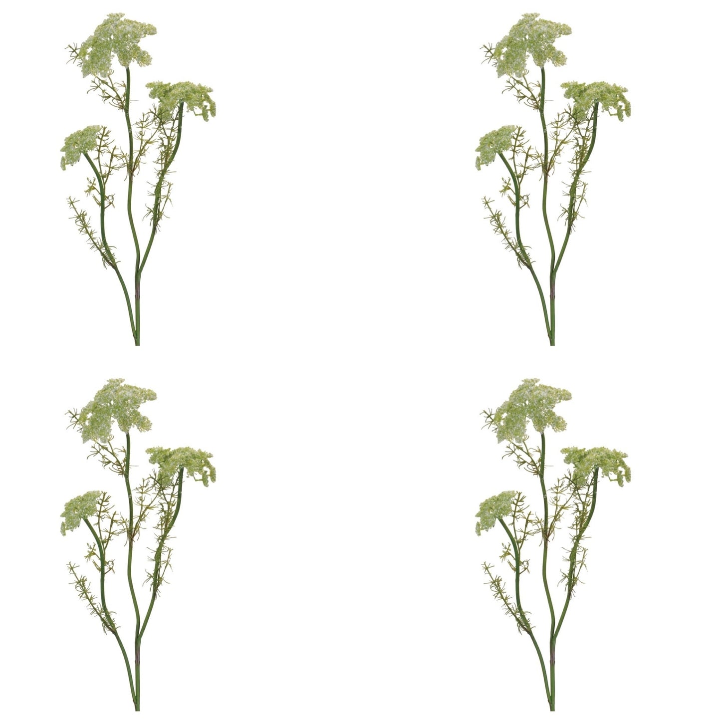 Queen AnneÕs Lace Floral Spray (Set of 4)