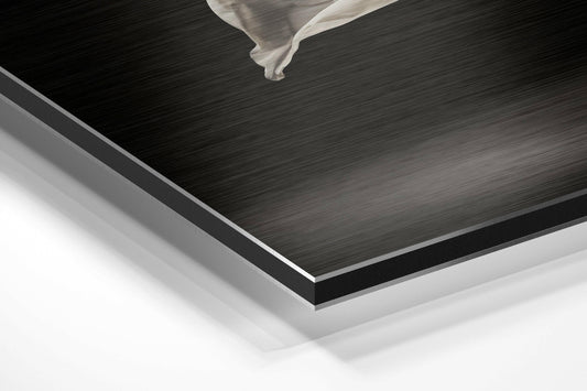 Ballerina Brushed Aluminium Dibond Wall Art