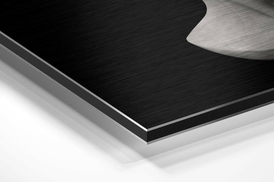 The Art of Sculpture Brushed Aluminium Dibond Wall Art
