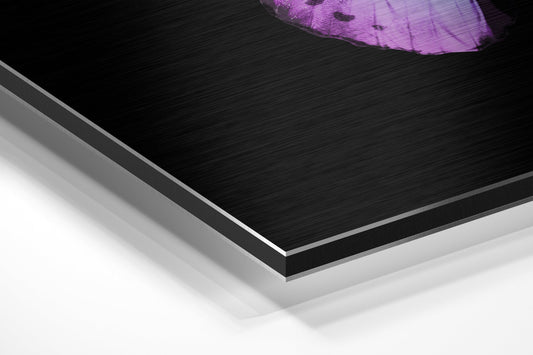 Butterfly Brushed Aluminium Dibond Wall Art