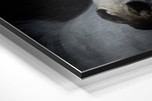 Horse Brushed Aluminium Dibond Wall Art