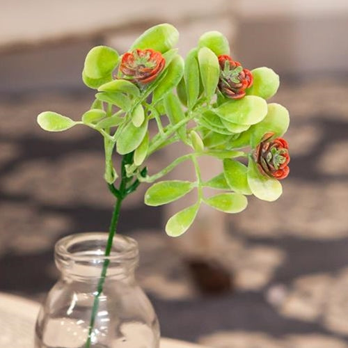 *Coral Buds Succulent Bush 8" (Pack of 4)