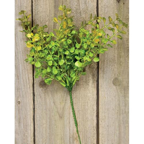 Baby's Grass Pick 9" Light Green (Pack of 4)