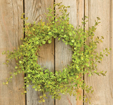 Baby's Grass Ring 10" Light green (Pack of 4)