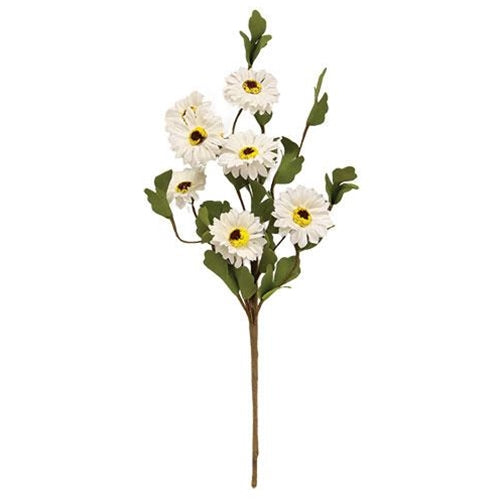 White Daisy Pick 15" (Pack of 4)