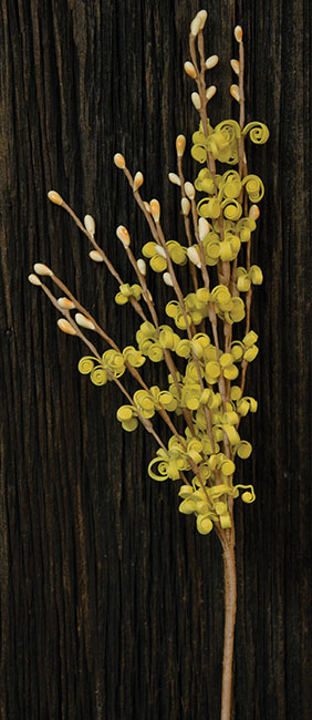 Curly Q Pick - Yellow (Pack of 4)
