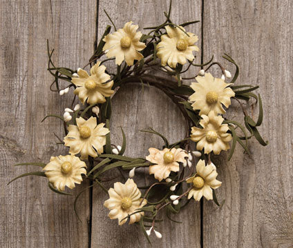 Teastain Daisy & Pip Ring 3-1/2" (Pack of 4)
