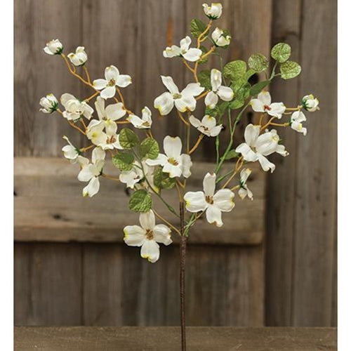 Cream English Dogwood Bush 17" (Pack of 4)