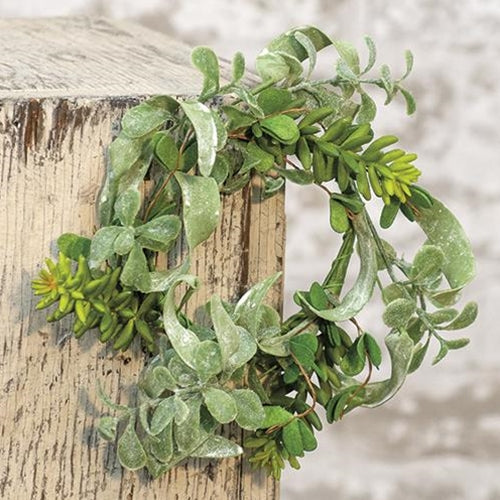Succulent Garden Ring 3.5" (Pack of 4)