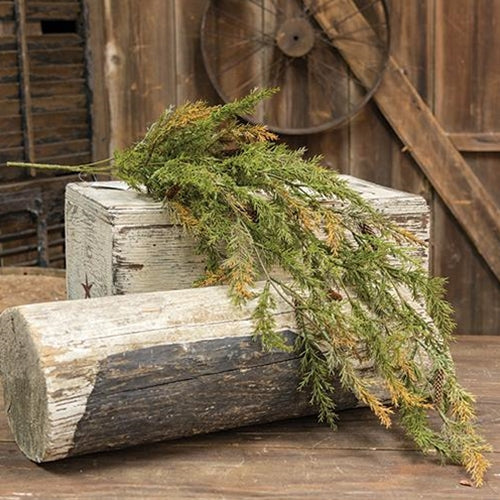 Prickly Pine Hanging Bush Moss Green 33" (Pack of 4)