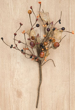 Country Mix Acorn Pick - 14" (Pack of 4)