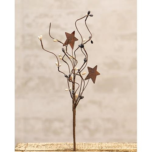 Farmhouse Mix Pip & Star Pick 12" (Pack of 4)