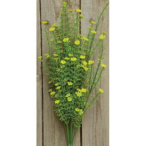 Yellow Astilbe Bush 20" (Pack of 4)