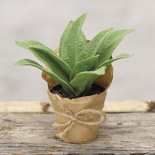 Paper Pot Cowslip 6" (Pack of 4)