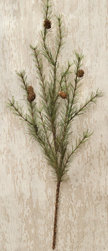 Cypress Pine Spray (Pack of 4)
