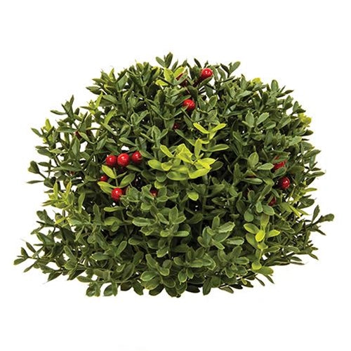 New England Boxwood With Berries Half Sphere 8" (Pack of 4)