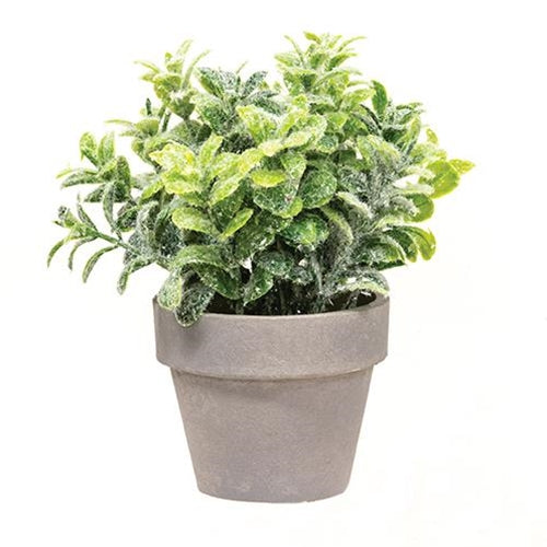 Icy Gatehouse Pot #1 6.5" (Pack of 4)