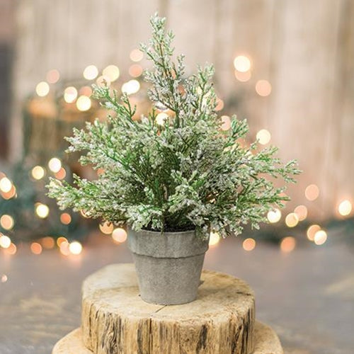 Potted Icy Cedar 8.5" (Pack of 4)