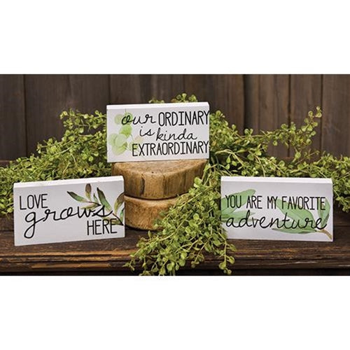 Love Grows Here Block 3 asstd. (Pack of 4)