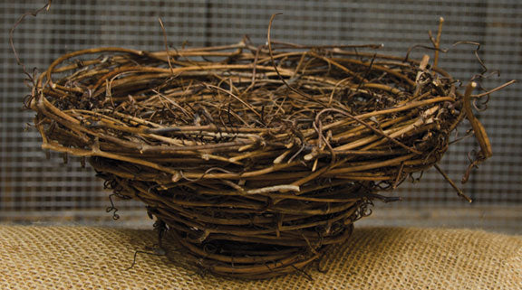Bird Nest - 7" (Pack of 4)