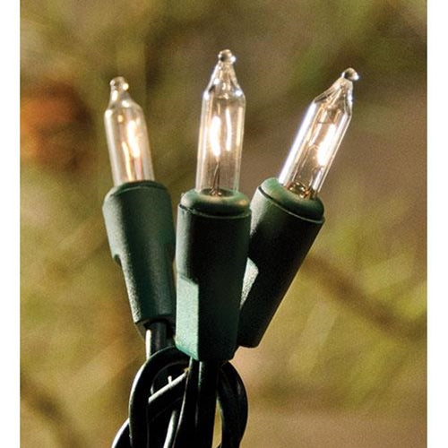 Light Set Green Cord 10ct (Pack of 4)