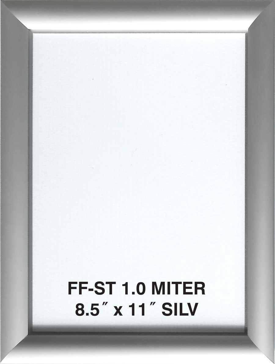 Premium Anodized Aluminum Poster Frame — Custom Size Made in the USA