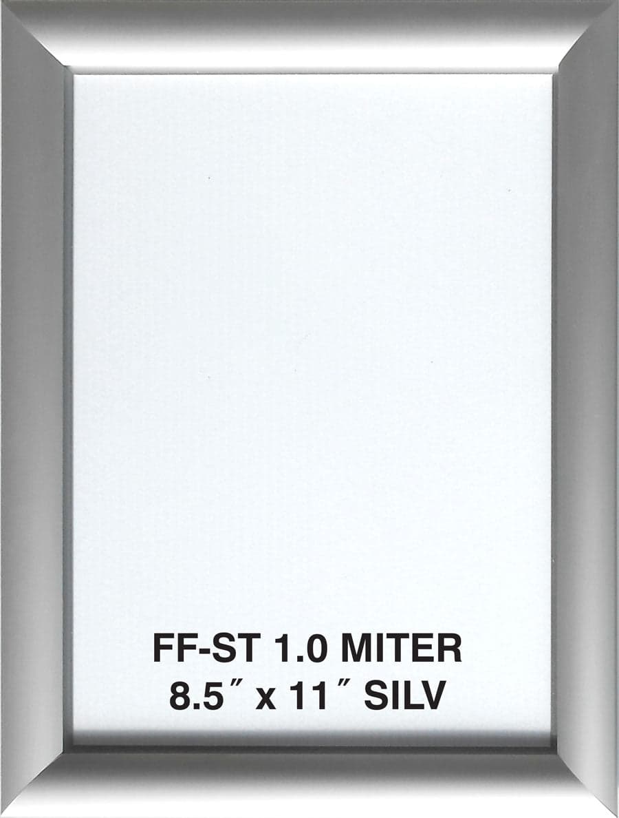 Premium Anodized Aluminum Poster Frame — Custom Size Made in the USA