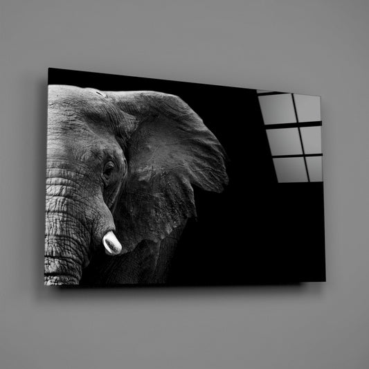 Elephant Glass Wall Art