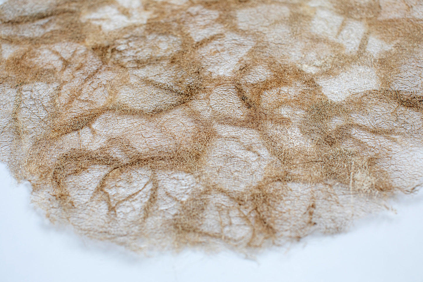 Wild Silk Charger (Pair) - Ceranchia Open