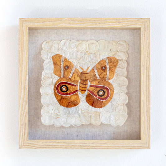 Mini Moth - Antherina suraka