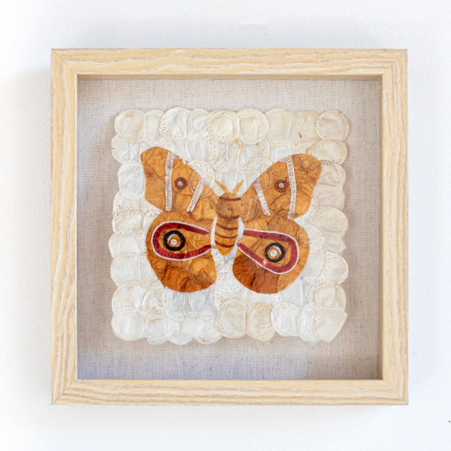 Mini Moth - Antherina suraka