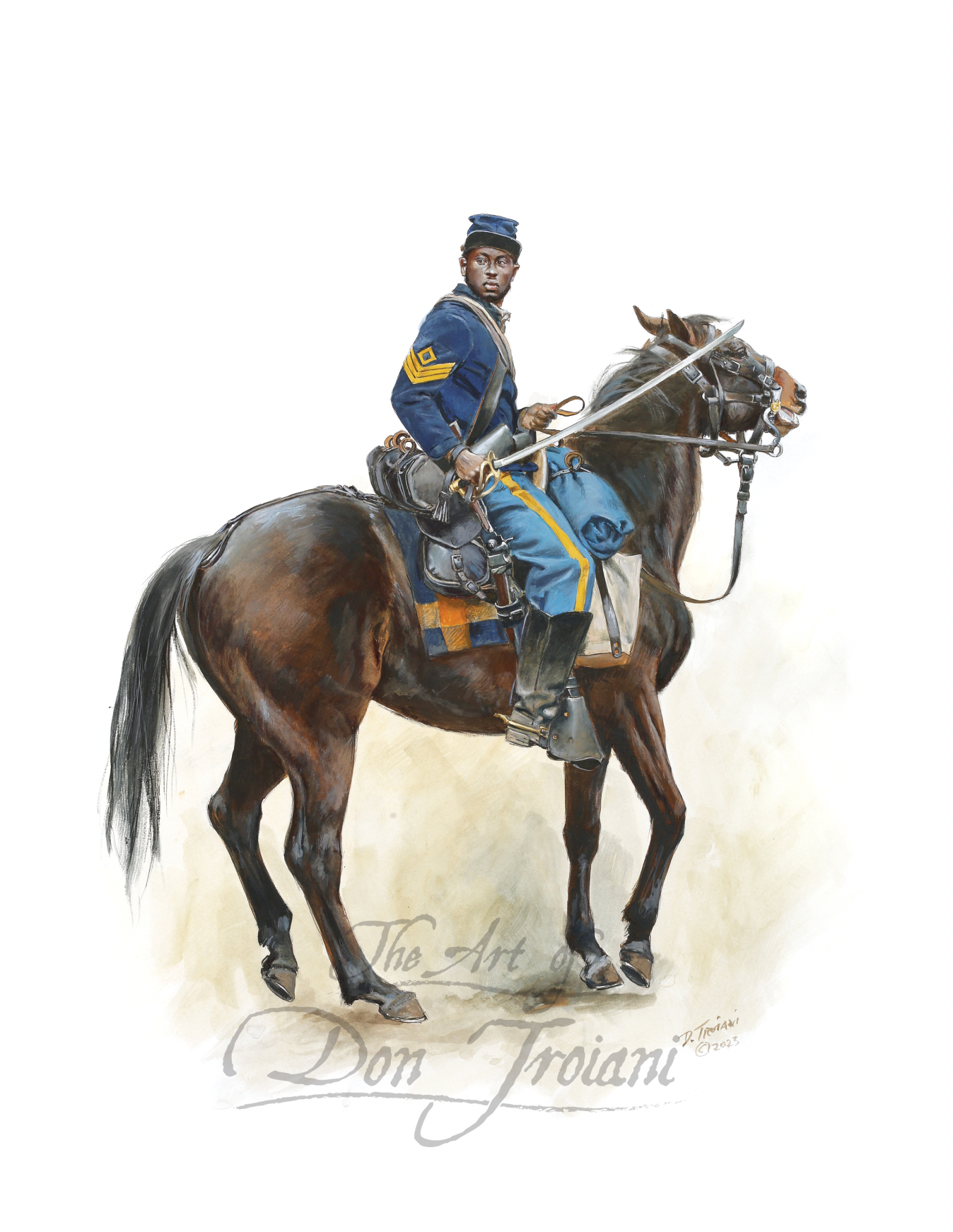 6th Regiment US Colored Cavalry, 1864