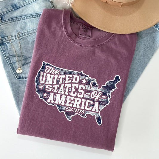 United States Of America Patriotic 4th Of July Flag Design Vintage Distressed Style Comfort Colors Tee