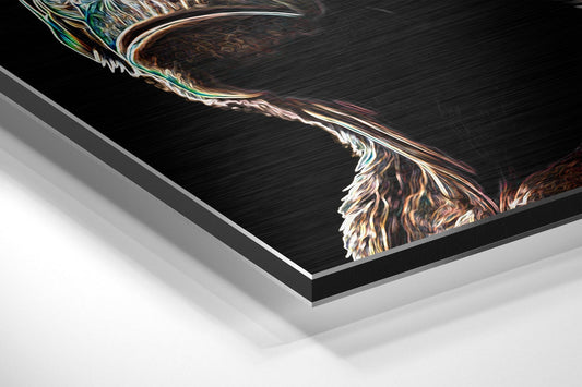 3 Wise Monkeys Brushed Aluminum Dibond Wall Art