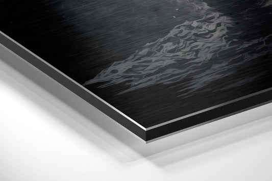 Astronaut Brushed Aluminum Dibond Wall Art